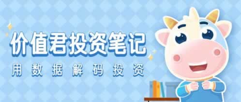 出款审核报告模板