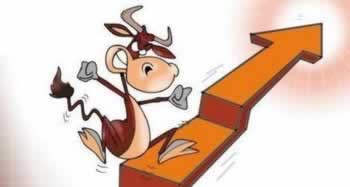 在黑网被黑，如何正确应对：揭秘有效处理方法