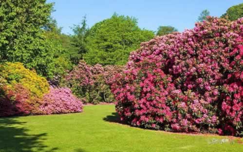 数据库被黑怎么恢复 数据库被黑怎么恢复