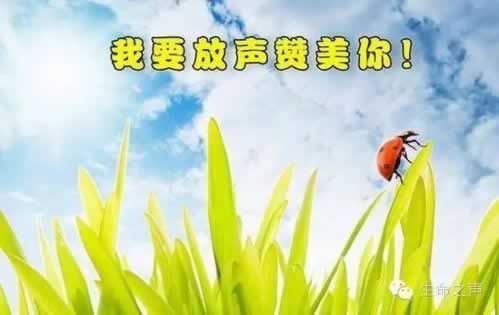 已出款却钱未到账?揭秘银行转账那些不为人知的“潜规则” 已出款却钱未到账?揭秘银行转账那些不为人知的“潜规则”