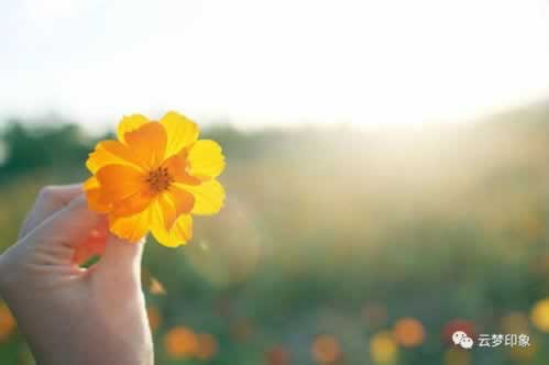 【揭秘】提款不成功背后的真相:揭秘常见原因及应对策略 【揭秘】提款不成功背后的真相:揭秘常见原因及应对策略