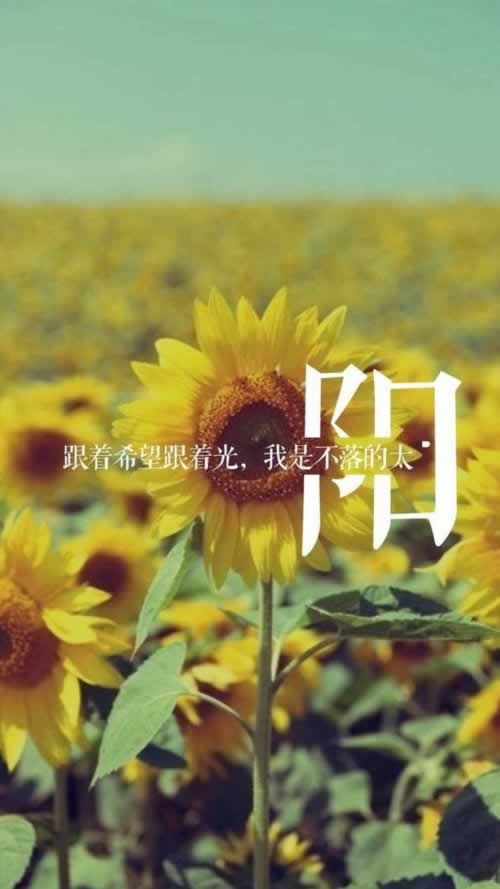 注单异常背后的秘密：揭秘常见原因及应对策略