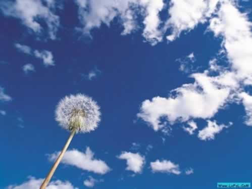 【紧急提醒】赢钱被黑平台不给提款？揭秘解决方法，别再被坑了！