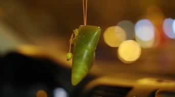 出款维护售后服务如何 出款维护售后服务如何