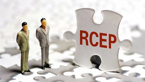 提高风控审核成功率的技巧