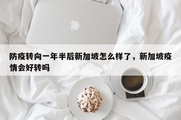 防疫转向一年半后新加坡怎么样了,新加坡疫情会好转吗