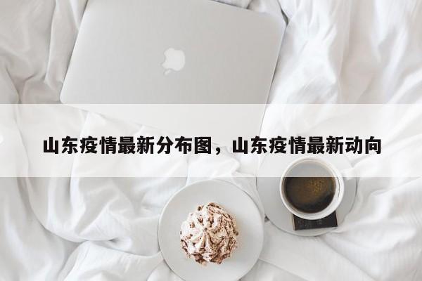 山东疫情最新分布图,山东疫情最新动向